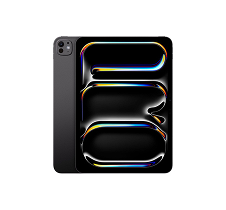 iPad Pro 11 Space Schwarz